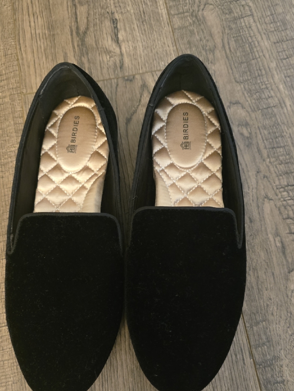 Birdies Black Velvet Slip-On Loafers